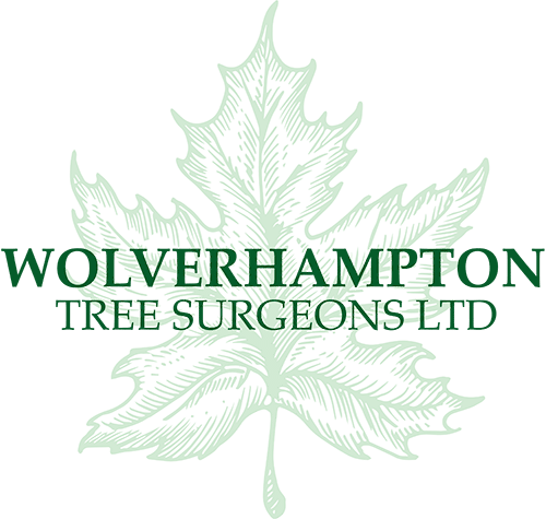 Tree Surgeons in Wolverhampton | Wolverhampton Tree Surgeons Ltd