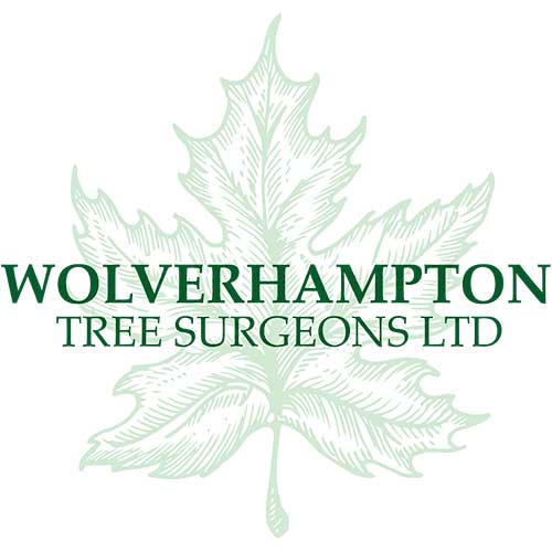 Tree Surgeons in Wolverhampton | Wolverhampton Tree Surgeons Ltd